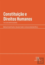 Constituição E Direitos Humanos