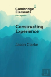 Constructing Experience