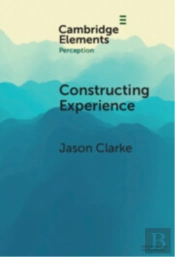 Constructing Experience