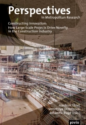 Constructing Innovation: How Large-Scale Projects Drive Novelty In The Construction Industry