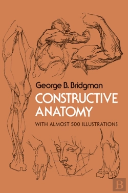 Bertrand.pt - Constructive Anatomy