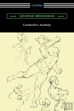 Bertrand.pt - Constructive Anatomy