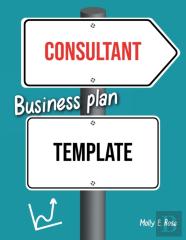 Consultant Business Plan Template