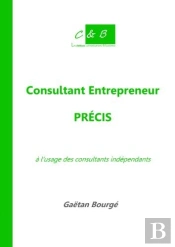 Consultant Entrepreneur Precis A L'Usage Des Consultants Independants