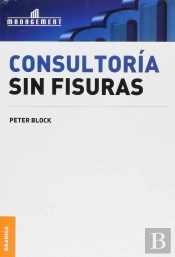 Consultoria Sin Fisuras