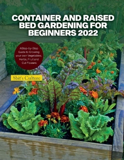 Bertrand.pt - Container And Raised Bed Gardening For Beginners 2022