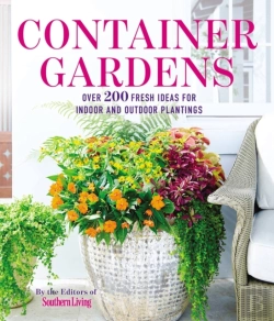 Bertrand.pt - Container Gardens