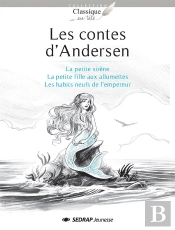 Contes D'Andersen - 5 Romans + Fichier