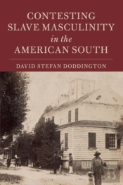 Contesting Slave Masculinity In The American South
