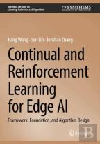 Continual And Reinforcement Learning For Edge Ai