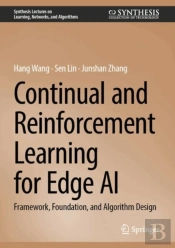 Continual And Reinforcement Learning For Edge Ai