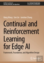 Continual And Reinforcement Learning For Edge Ai