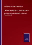 Contributions Towards A Cybele Hibernica