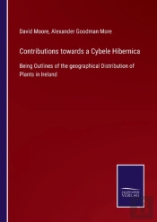 Contributions Towards A Cybele Hibernica
