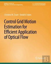 Control Grid Motion Estimation For Efficient Application Of Optical Flow