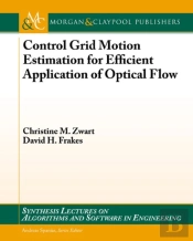 Control Grid Motion Estimation For Efficient Application Of Optical Flow