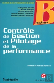 Controle De Gestion Et Pilotage De La Performance