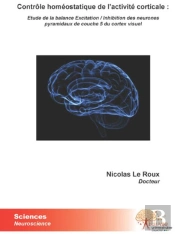 Contrôle Homéostatique De L'Activité Corticale