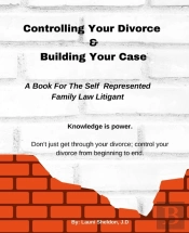 Controlling Your Divorce & Building Your Case