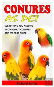 Conures As Pet