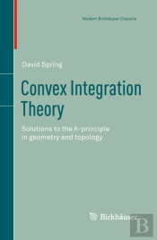 Convex Integration Theory