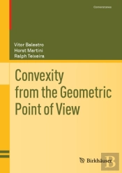 Convexity From The Geometric Point Of View