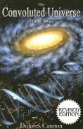 Convoluted Universe: Book Two