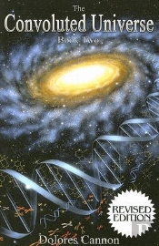 Convoluted Universe: Book Two
