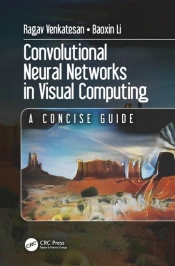 Convolutional Neural Networks In Visual Computing