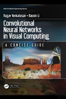 Bertrand.pt - Convolutional Neural Networks In Visual Computing