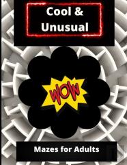 Cool And Unusual Mazes For Adults
