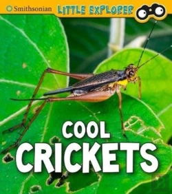 Bertrand.pt - Cool Crickets