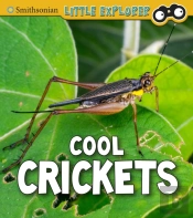 Cool Crickets