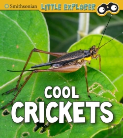 Bertrand.pt - Cool Crickets