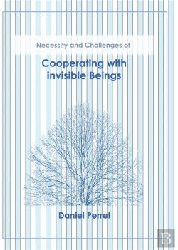 Bertrand.pt - Cooperating With Invisible Beings - Necessity And Challenges