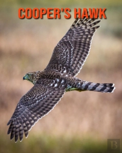 Bertrand.pt - Cooper'S Hawk