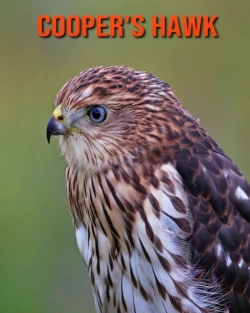 Bertrand.pt - Cooper'S Hawk