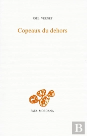 Copeaux Du Dehors
