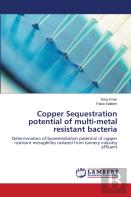 Copper Sequestration Potential Of Multi-Metal Resistant Bacteria