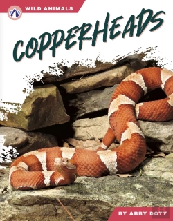 Bertrand.pt - Copperheads