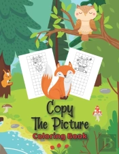 Copy The Picture Coloring Book