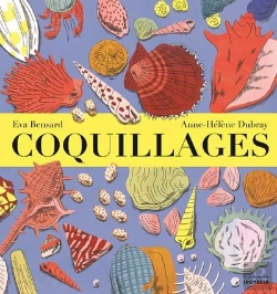 Bertrand.pt - Coquillages