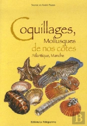 Coquillages De Nos Cotes