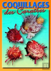 Coquillages Des Caraïbes