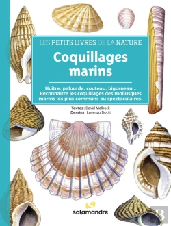 Bertrand.pt - Coquillages Marins