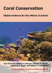 Coral Conservation