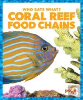 Coral Reef Food Chains