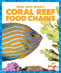 Bertrand.pt - Coral Reef Food Chains