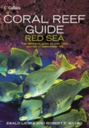 Coral Reef Guide Red Sea