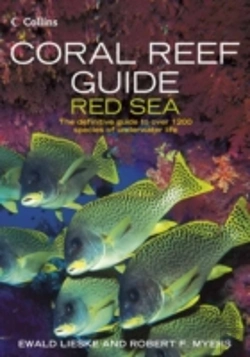 Bertrand.pt - Coral Reef Guide Red Sea